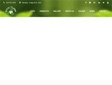 Tablet Screenshot of ecoturfsurfacing.com